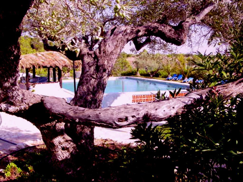 The Sea Garden Hotel L'Ampolla Buitenkant foto
